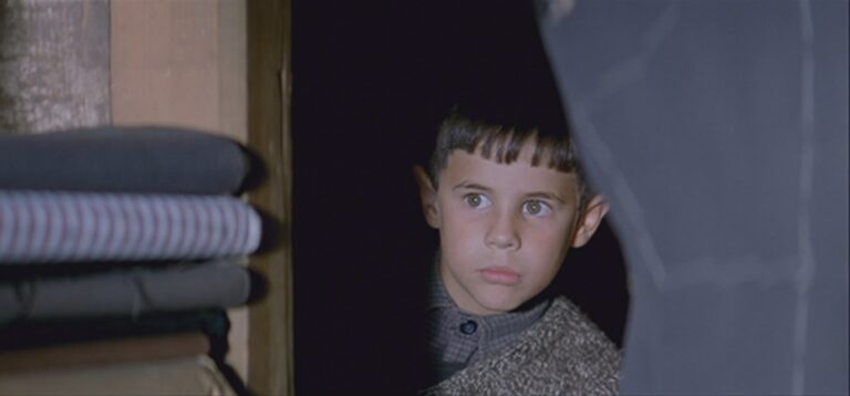 La lengua de las mariposas